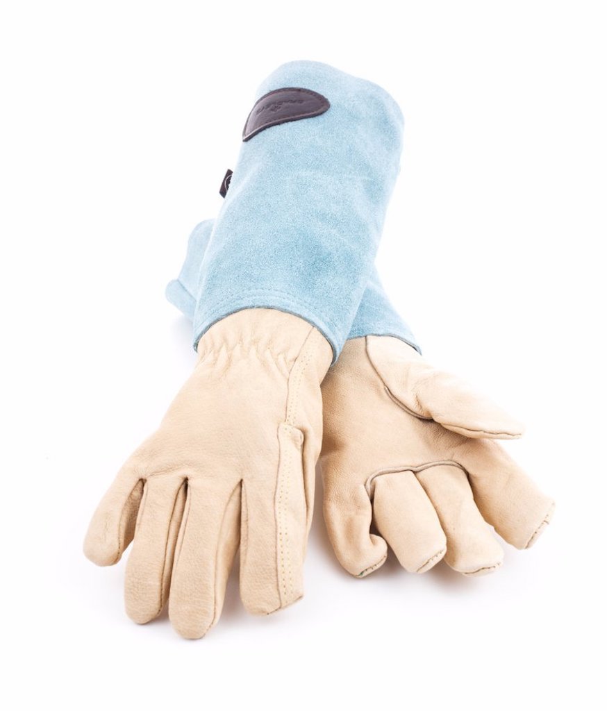 Gartenhandschuhe Wildleder Blau