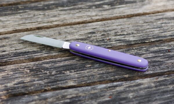 Victorinox Blumenmesser