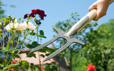 Hochwertige, handgeschmiedete Gartenwerkzeuge für Ihren Garten