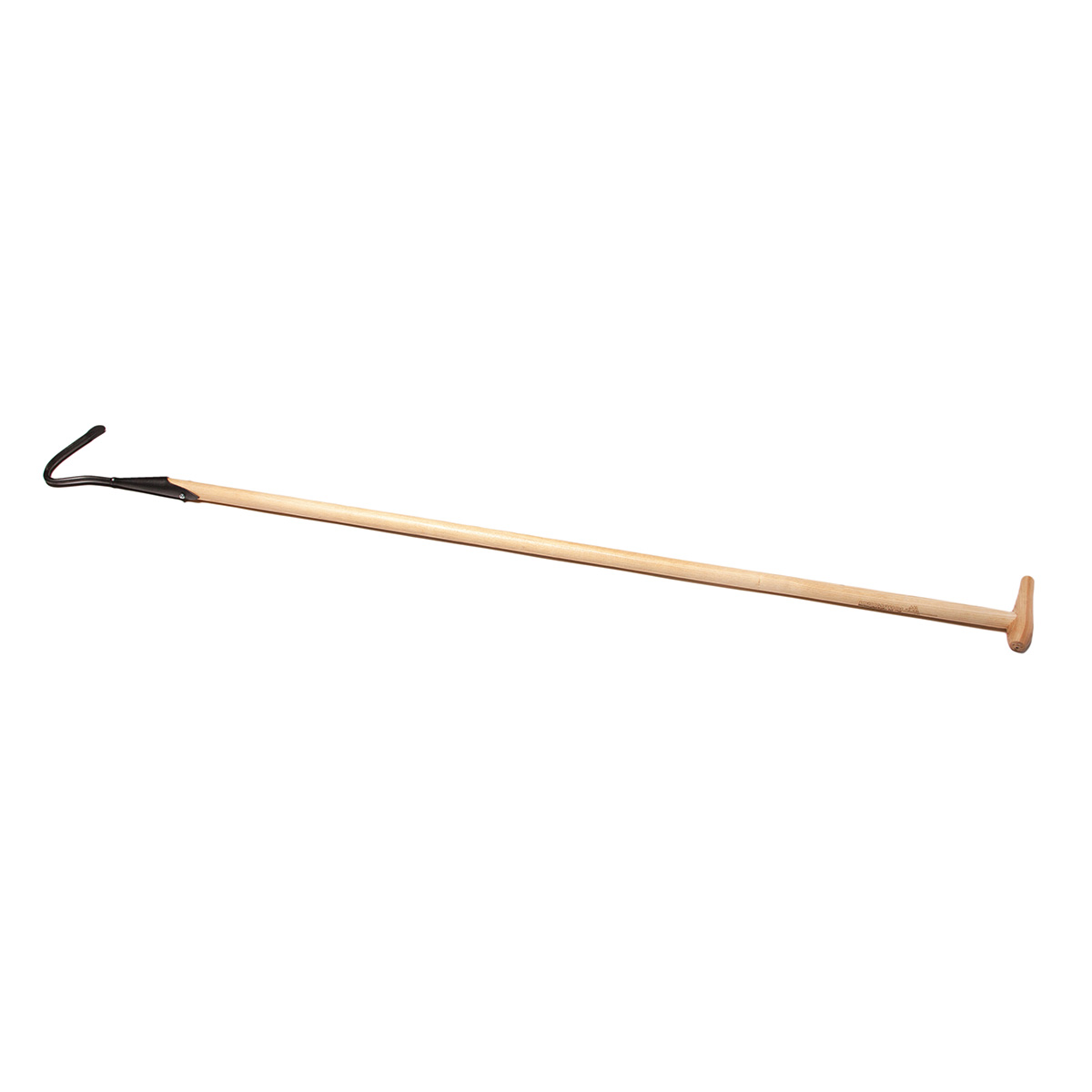 Sauzahn 165 cm