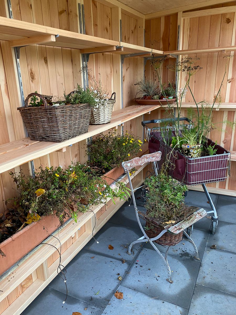 Pflanz & Gartenhaus «LIMONAIA» – Bild 2