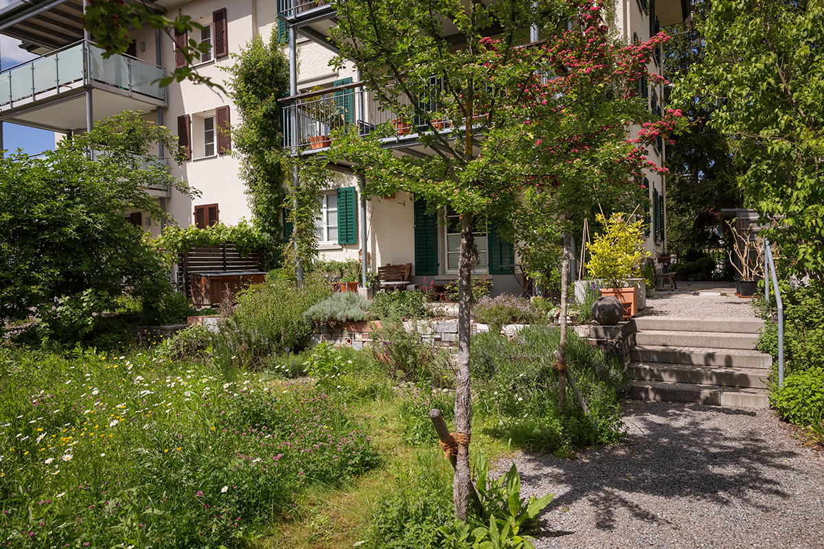 Veltheim_04 Naturgarten, Herbstarbeiten und Gehölzschnitt