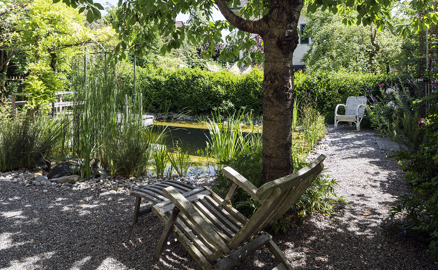 1_Frauenfeld_ Naturgarten, Herbstarbeiten und Gehölzschnitt